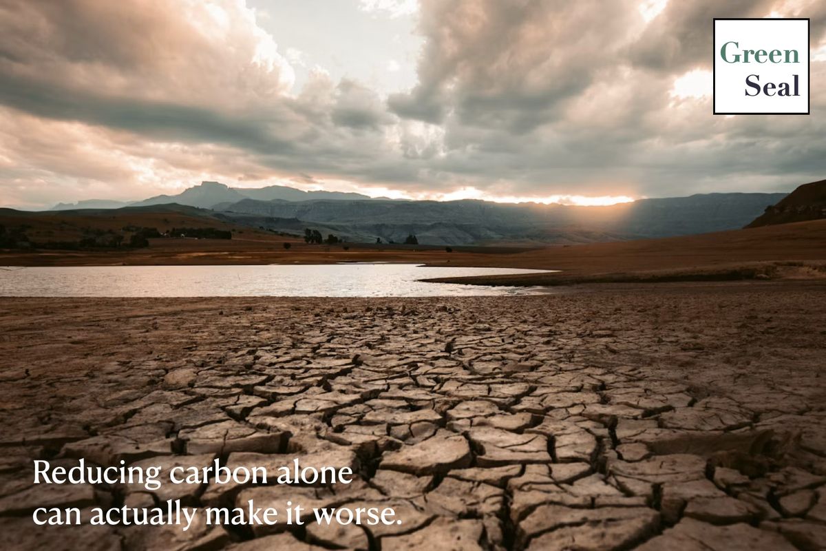Optimise AI for carbon, and you'll pay for it in water and land